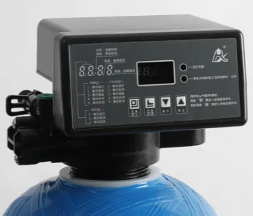 [P-PT-ASV-116-01] Automatic Softener Valve F116Q1 Runxin
